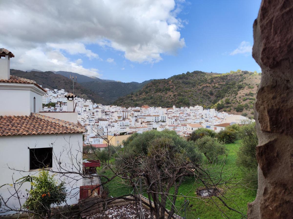 Casa Rural Sierra De Las Nieves 托洛克斯 外观 照片